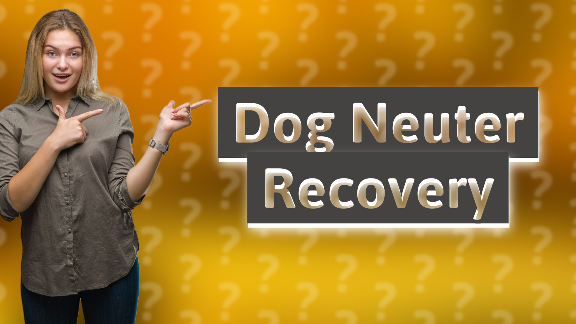 Dog Neuter Recovery