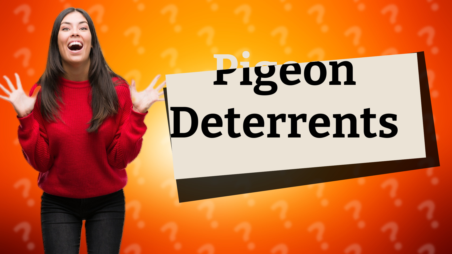 Pigeon Deterrents