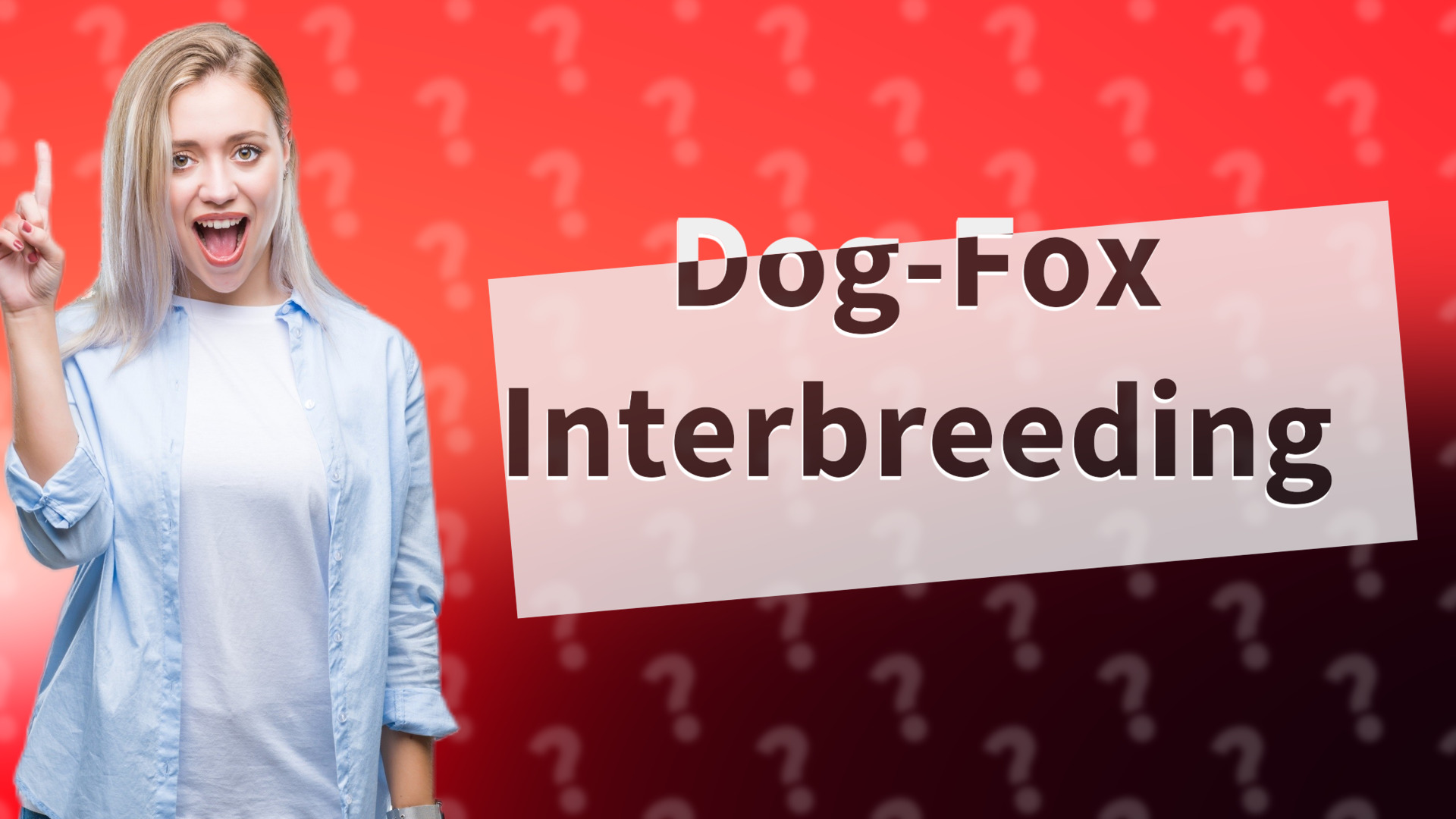 Dog-Fox Interbreeding