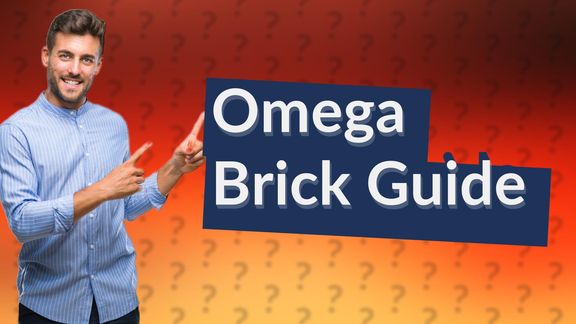 Omega Brick Guide