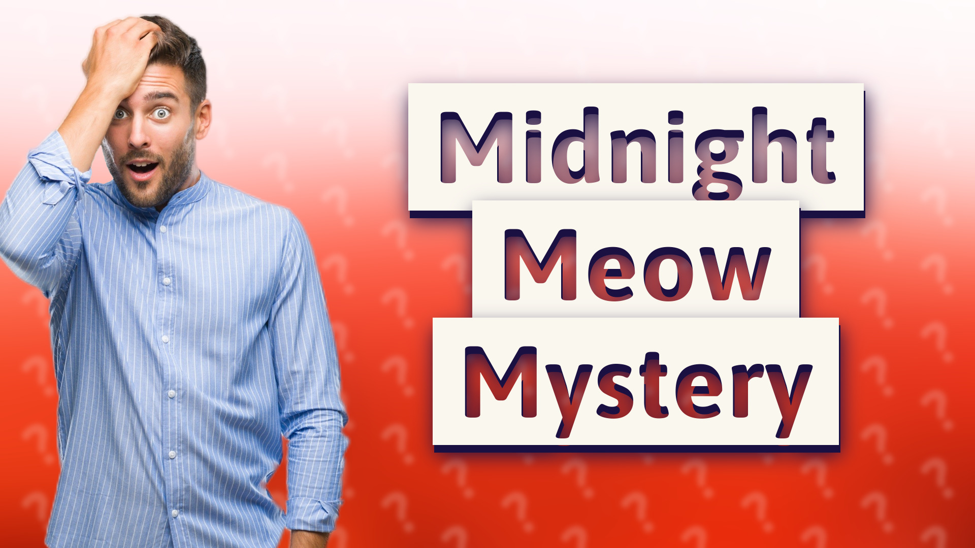 Midnight Meow Mystery
