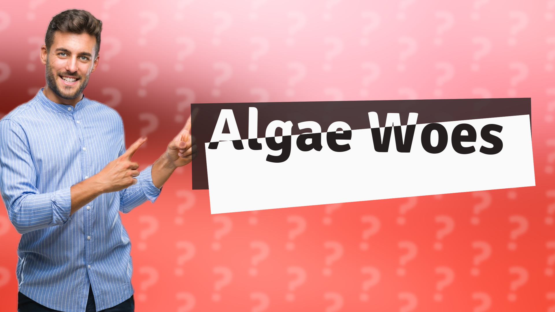 Algae Woes