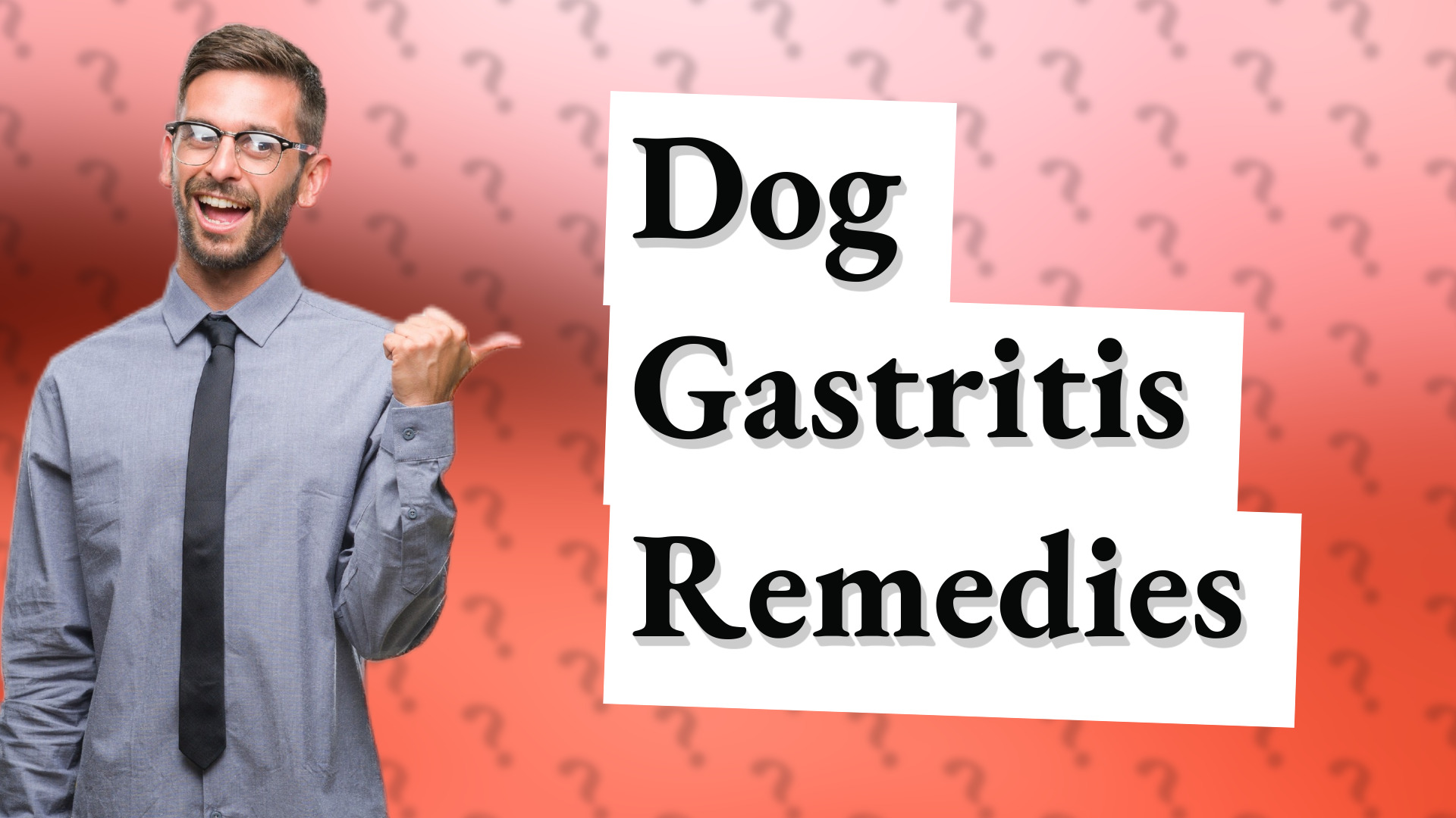 Dog Gastritis Remedies