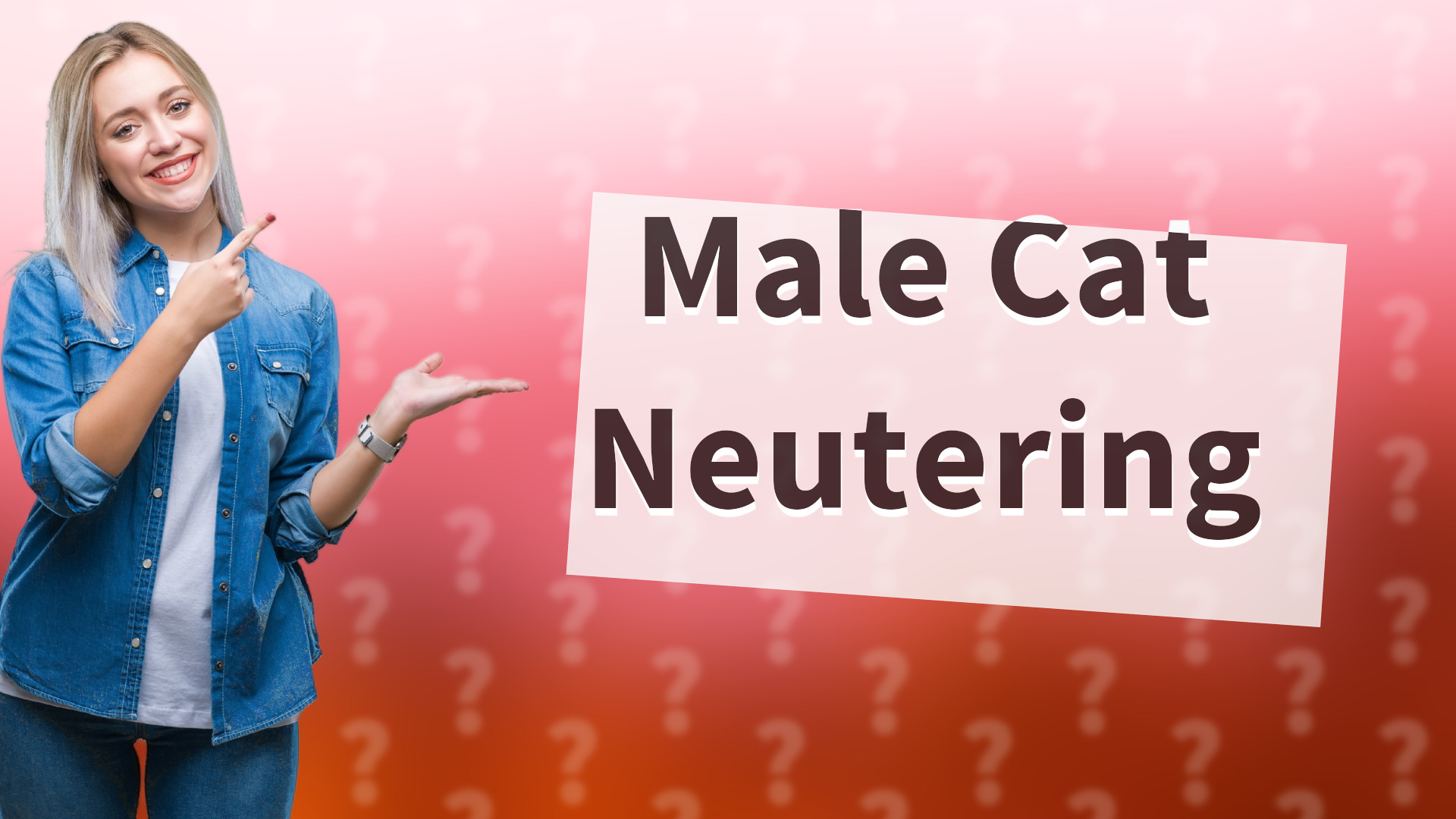 Male Cat Neutering
