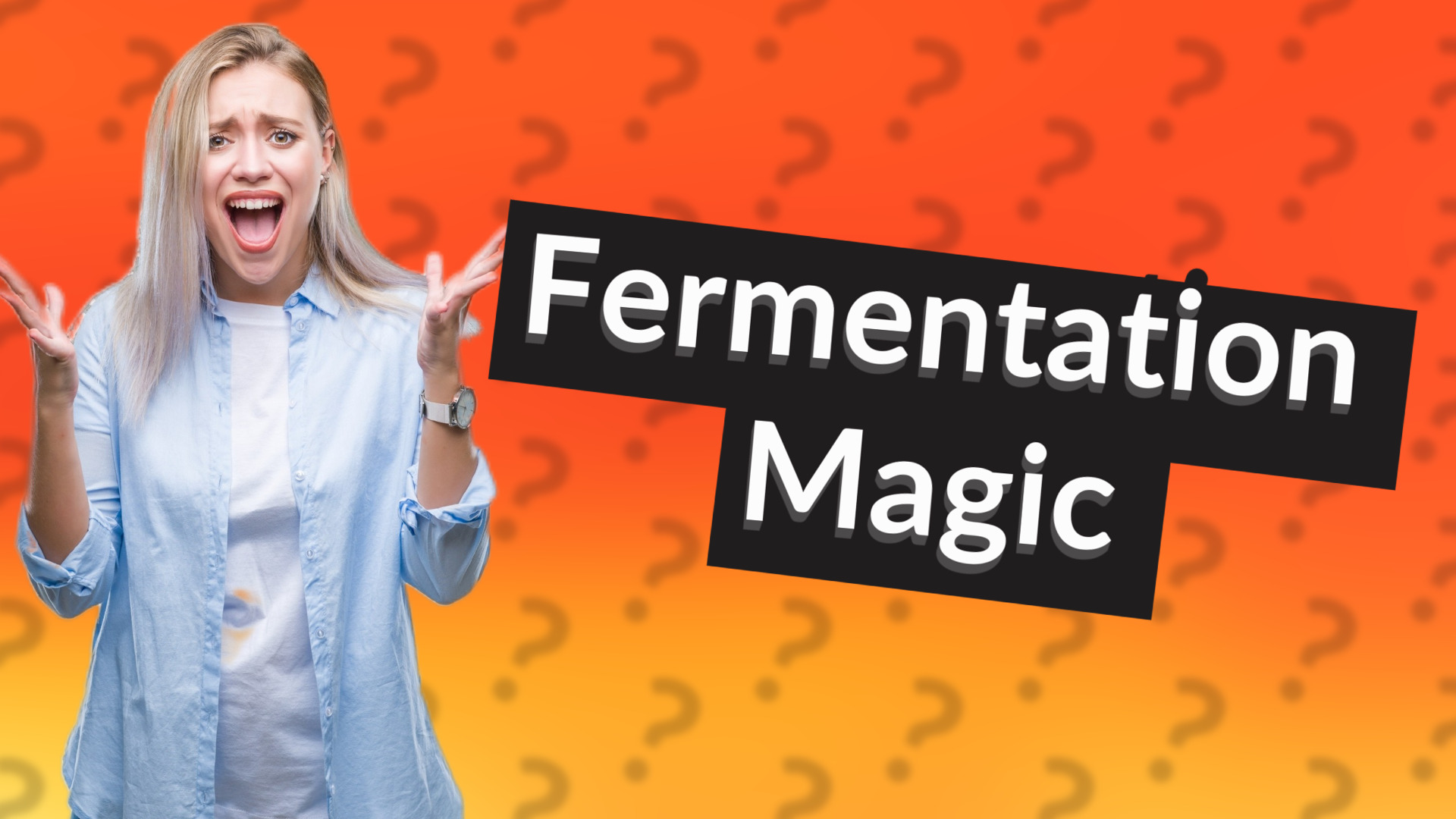 Fermentation Magic