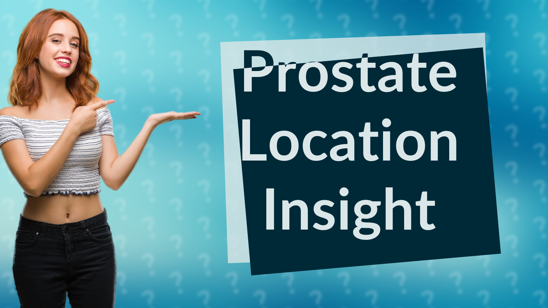 Prostate Location Insight