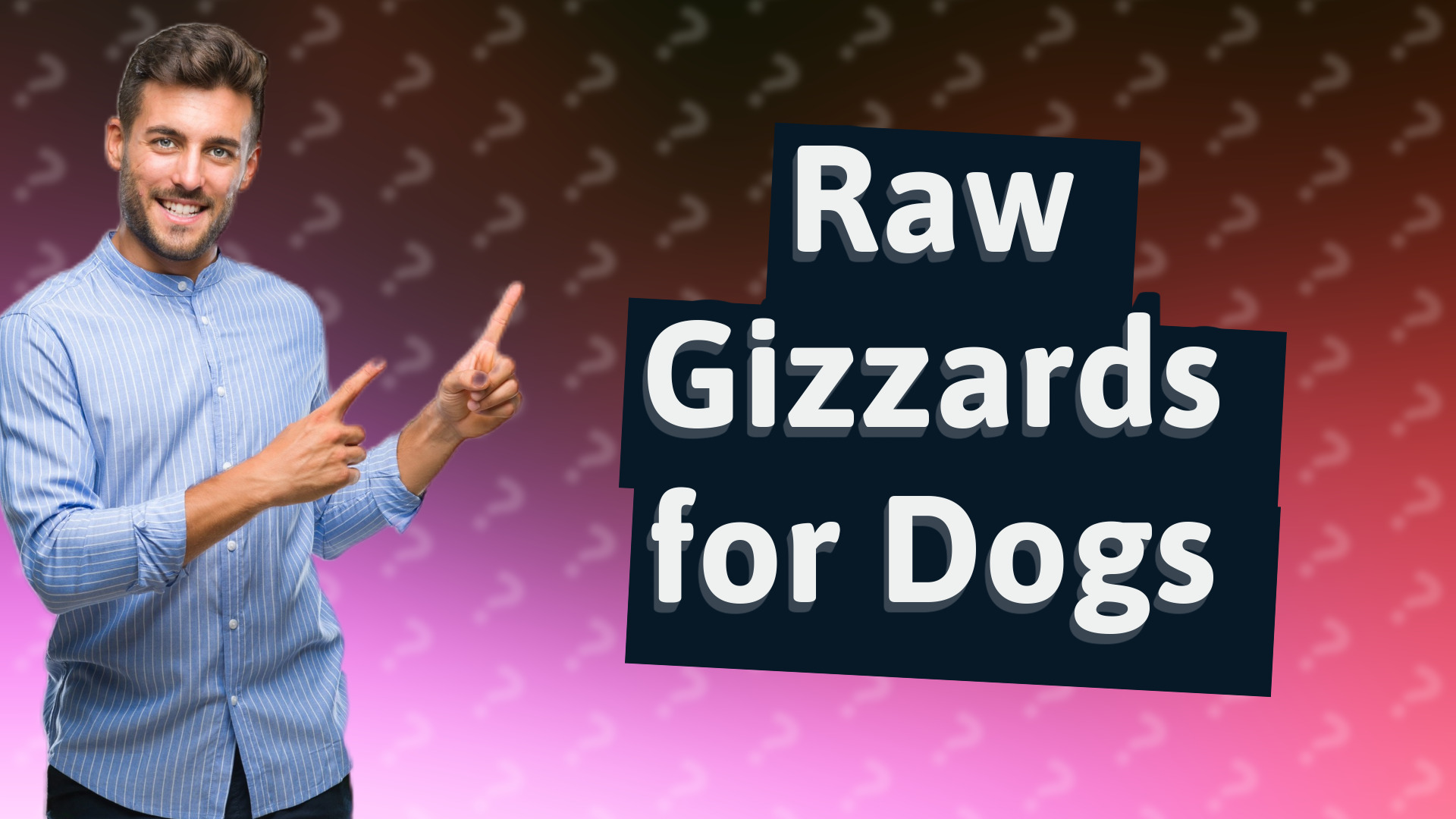 Raw Gizzards for Dogs
