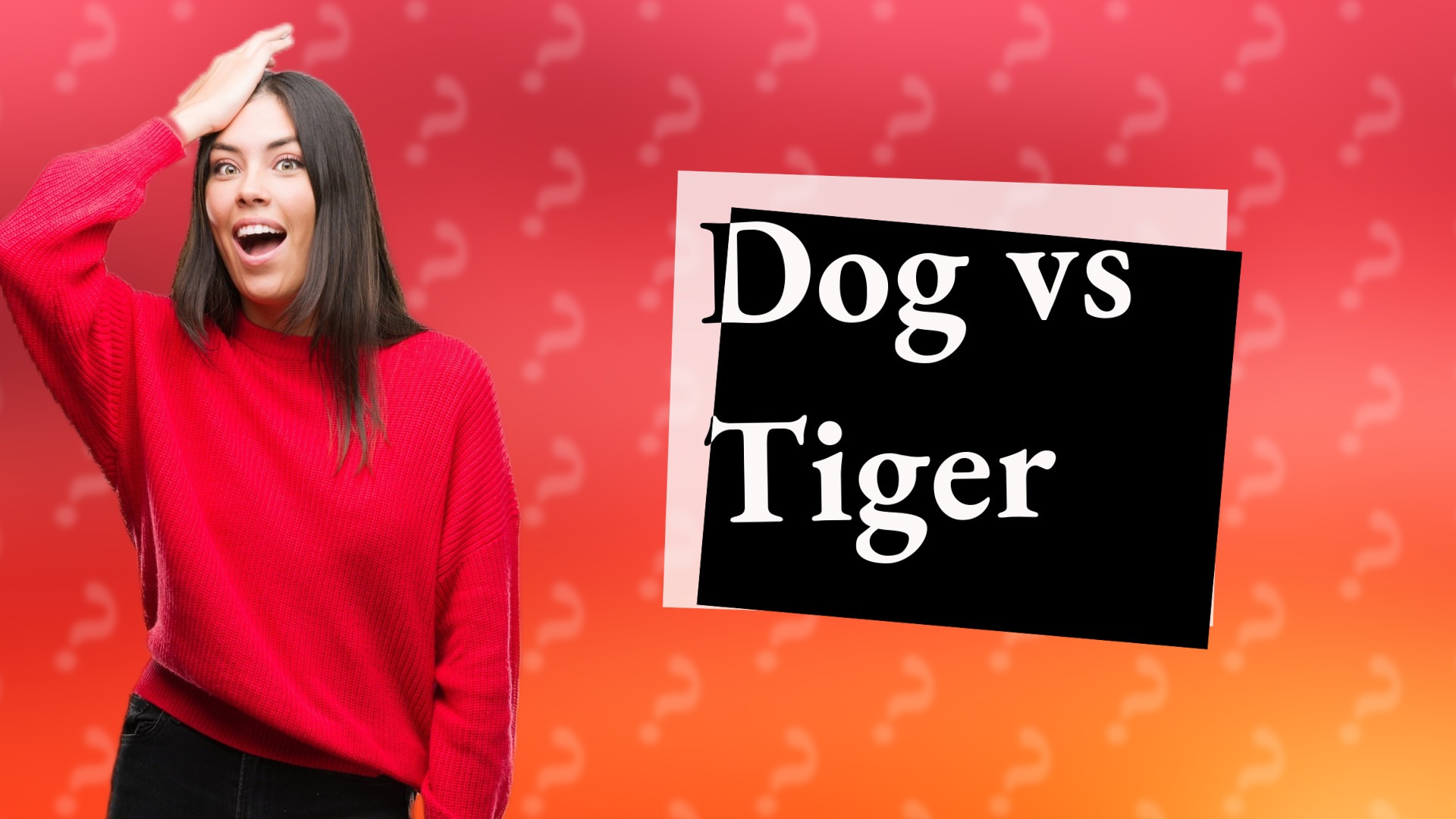 Dog vs Tiger