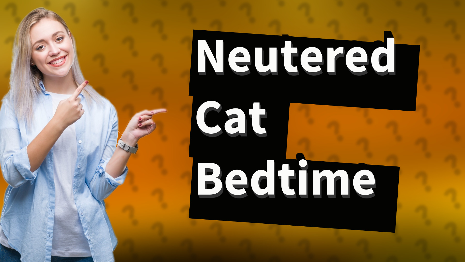 Neutered Cat Bedtime