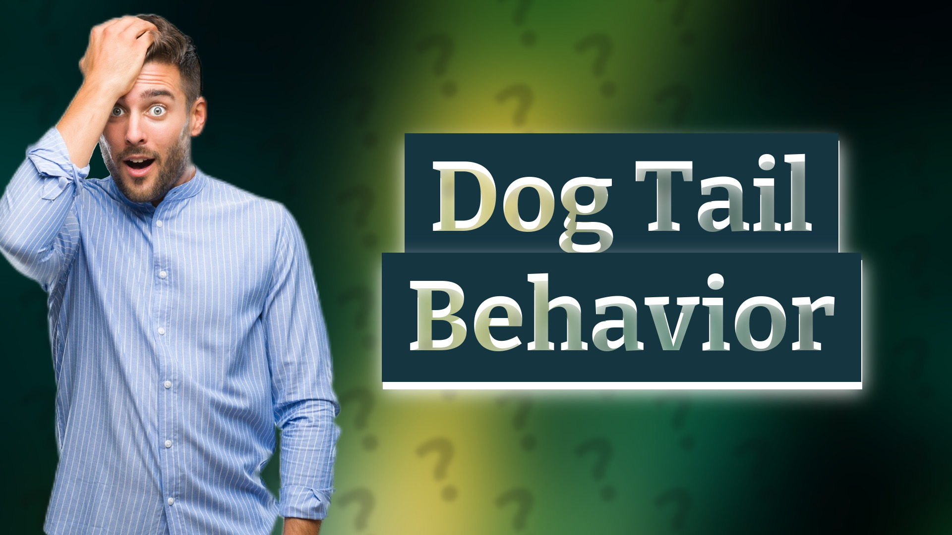Dog Tail Behavior