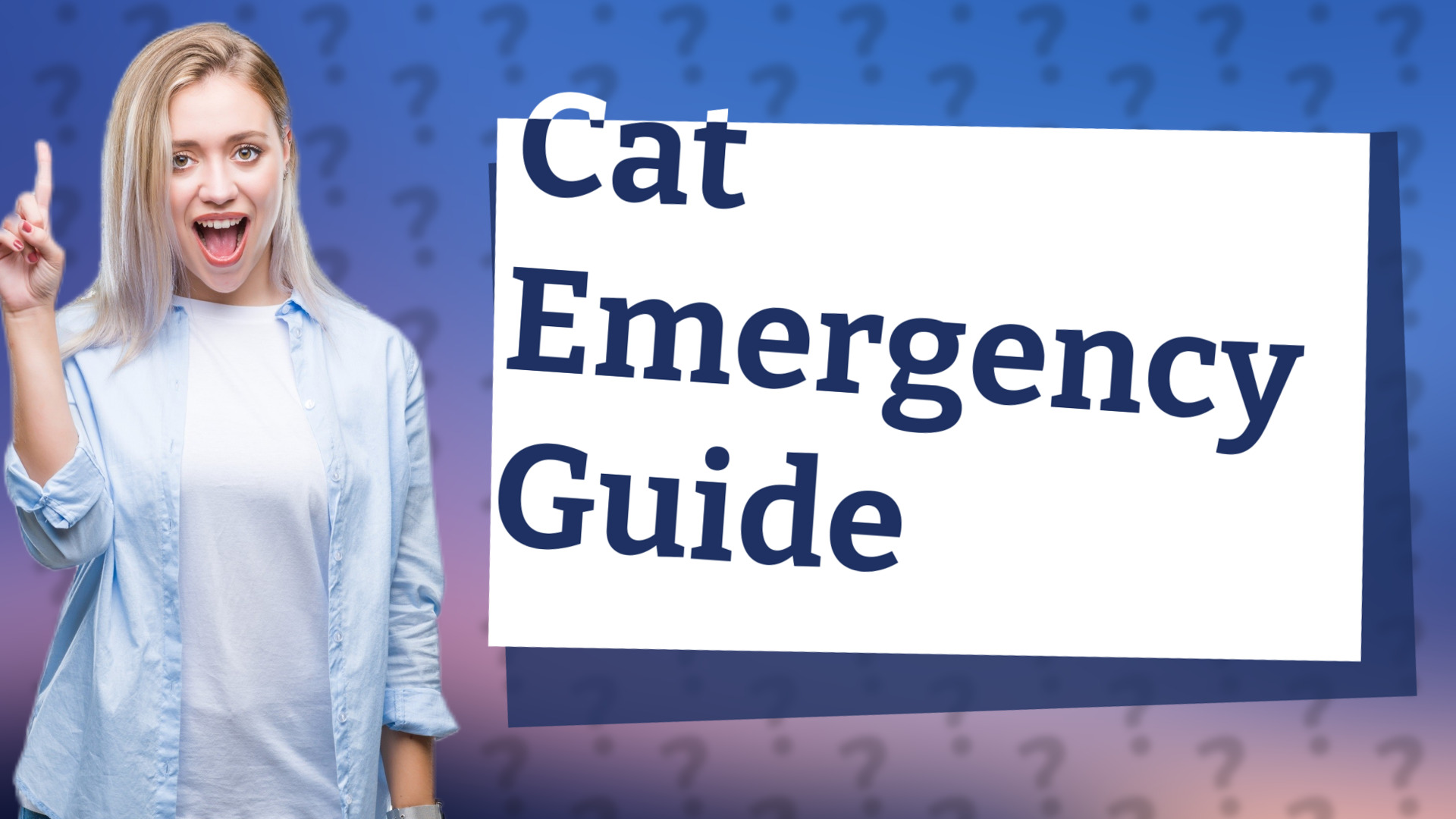 Cat Emergency Guide
