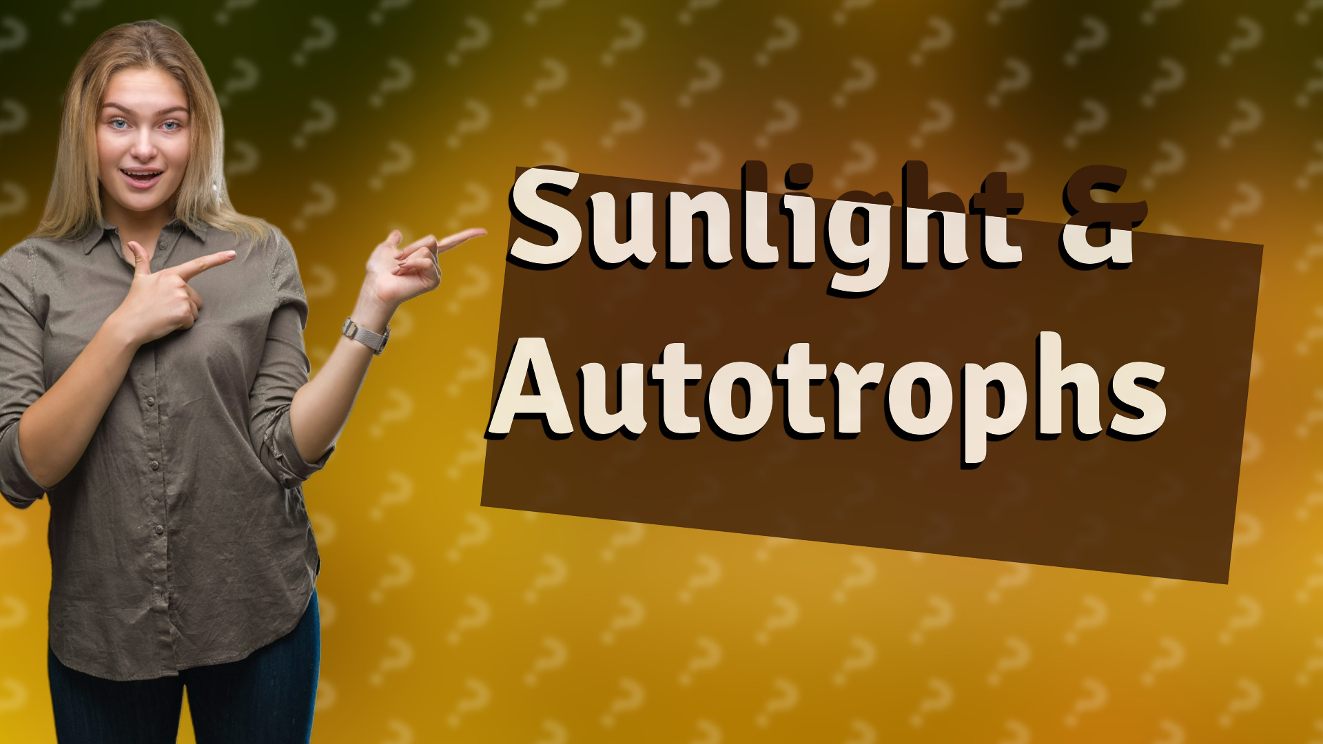 Sunlight & Autotrophs