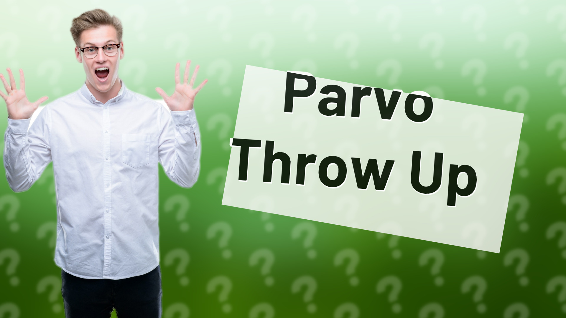 Parvo Throw Up