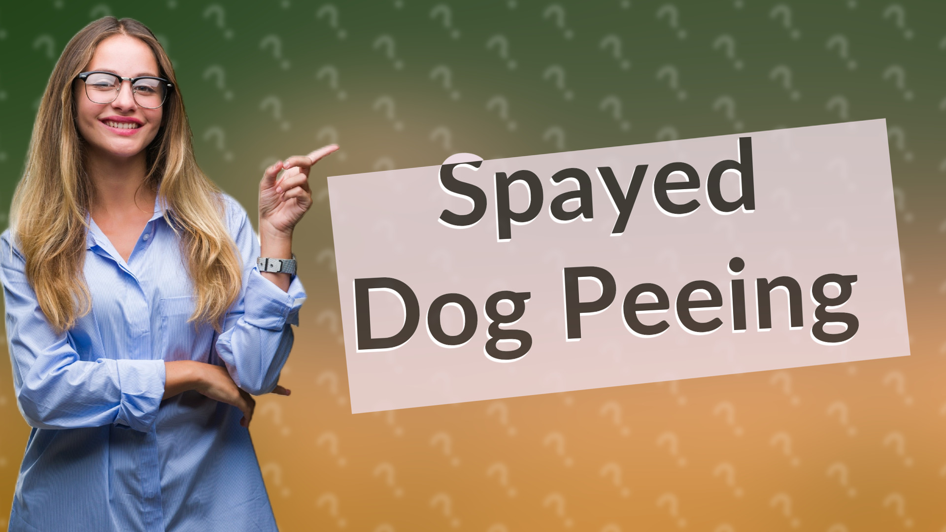 Spayed Dog Peeing