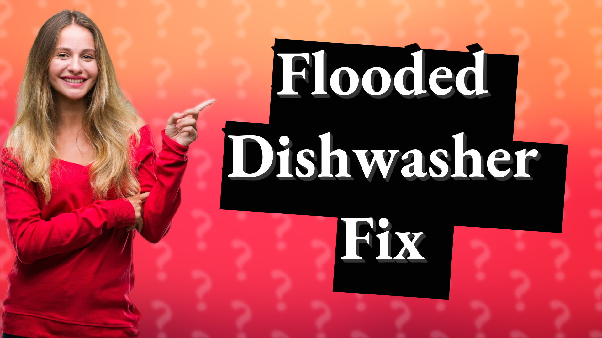 Flooded Dishwasher Fix