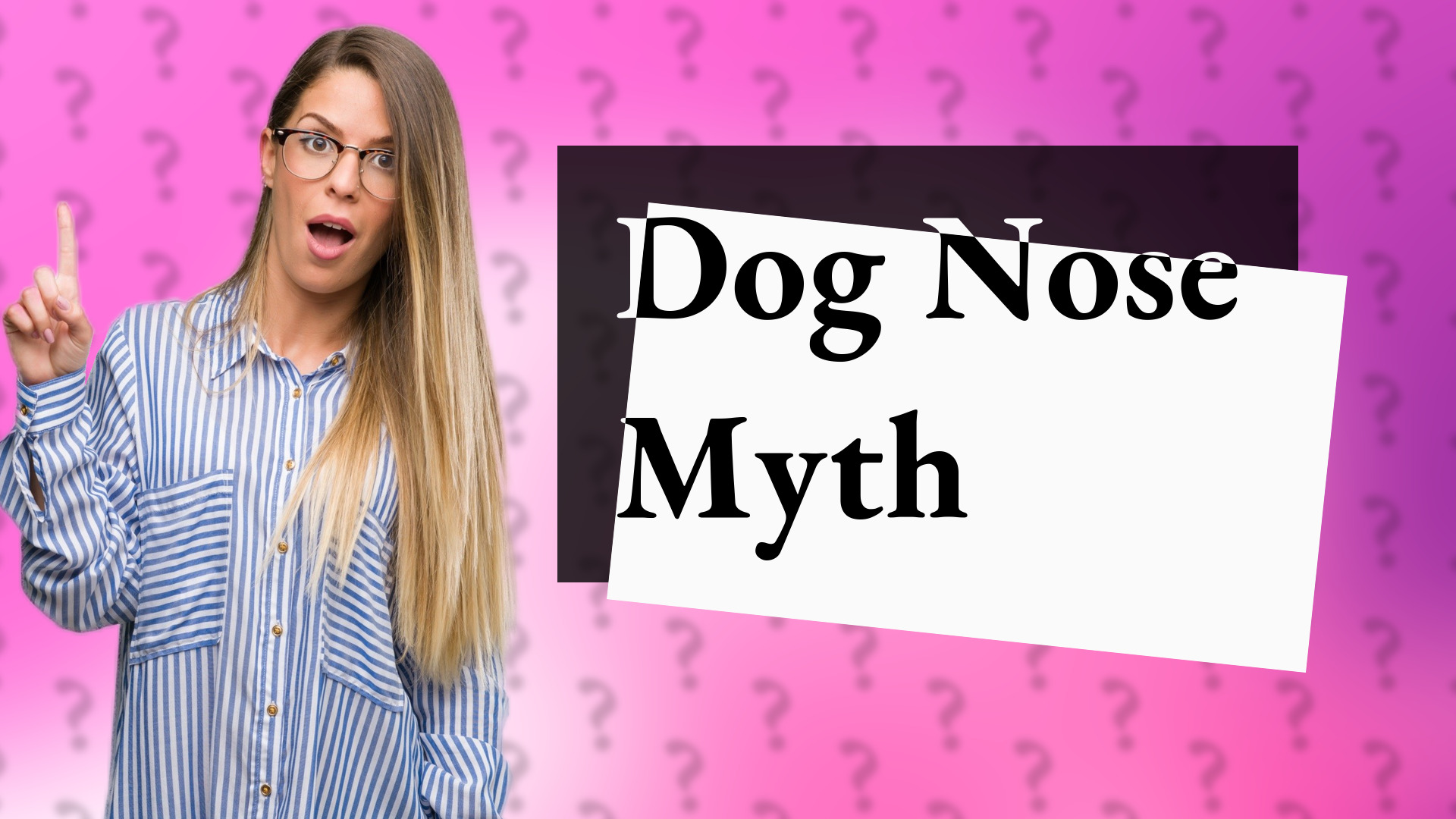 Dog Nose Myth