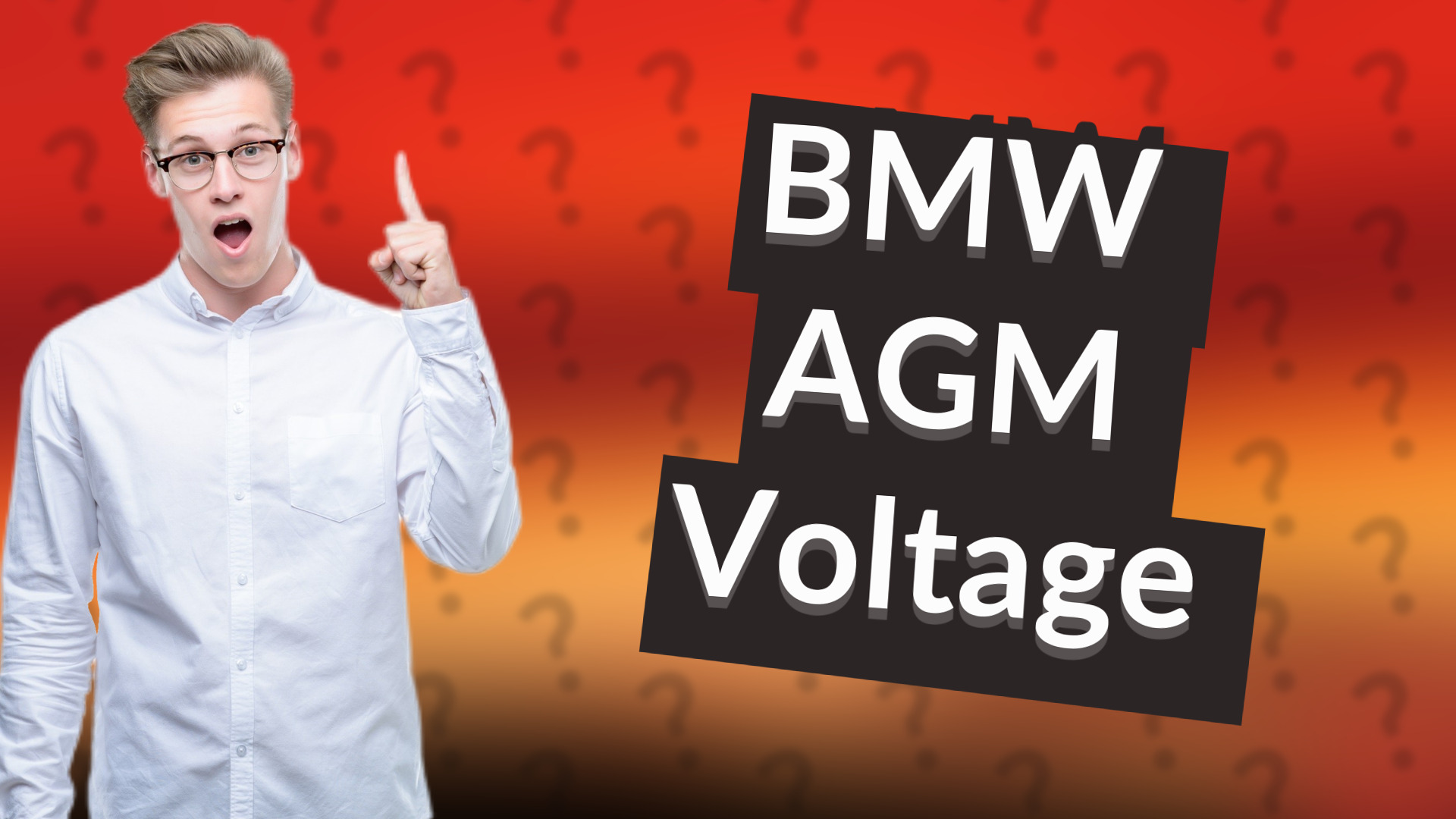 BMW AGM Voltage
