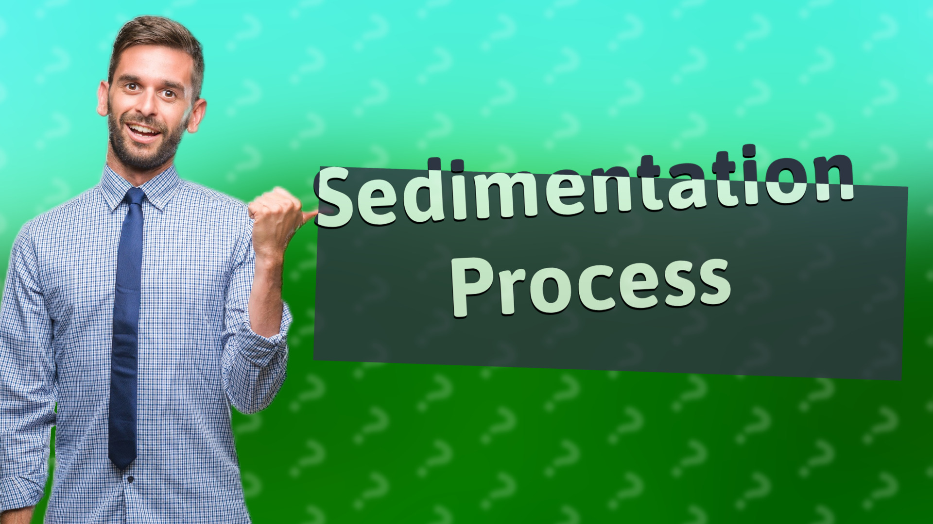 Sedimentation Process