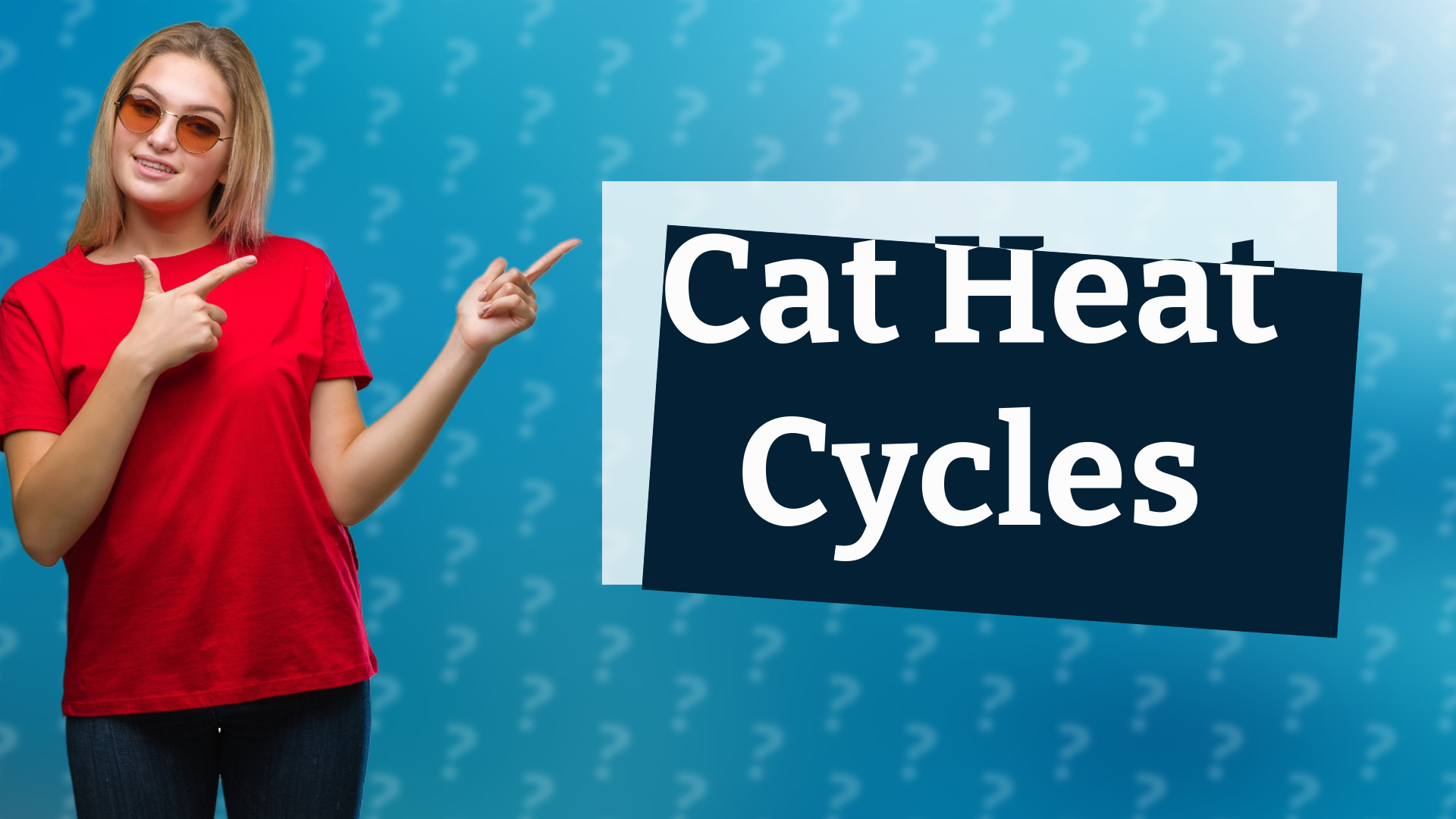 Cat Heat Cycles