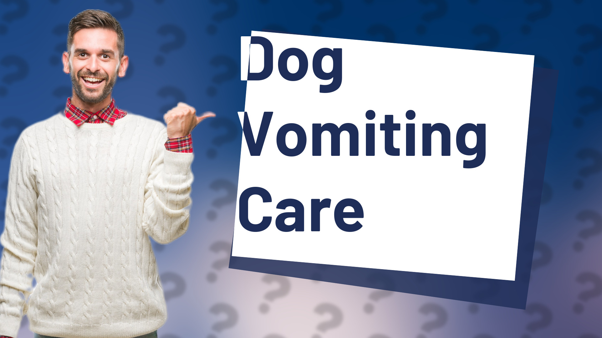 Dog Vomiting Care