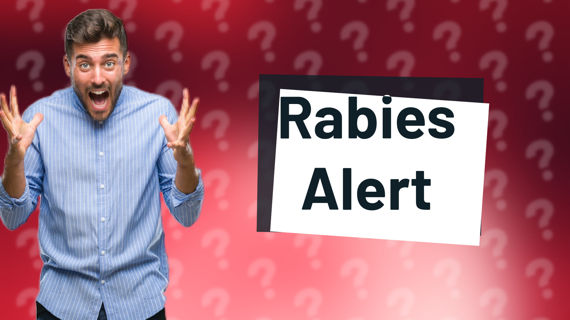 Rabies Alert