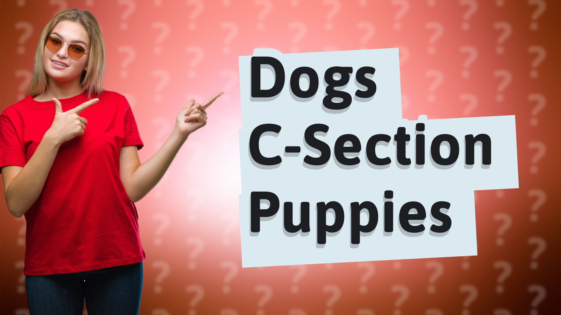 Dogs C-Section Puppies