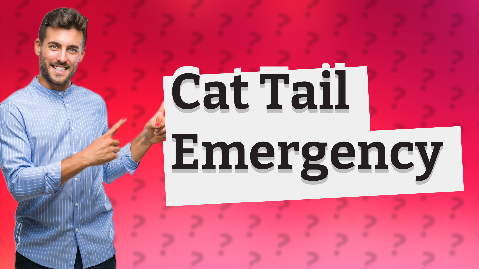 Cat Tail Emergency
