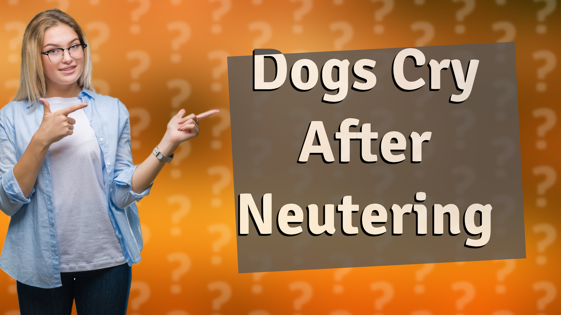 Dogs Cry After Neutering