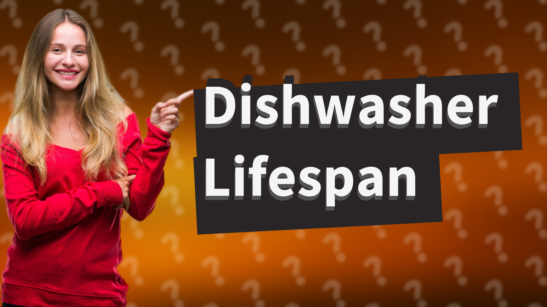 Dishwasher Lifespan
