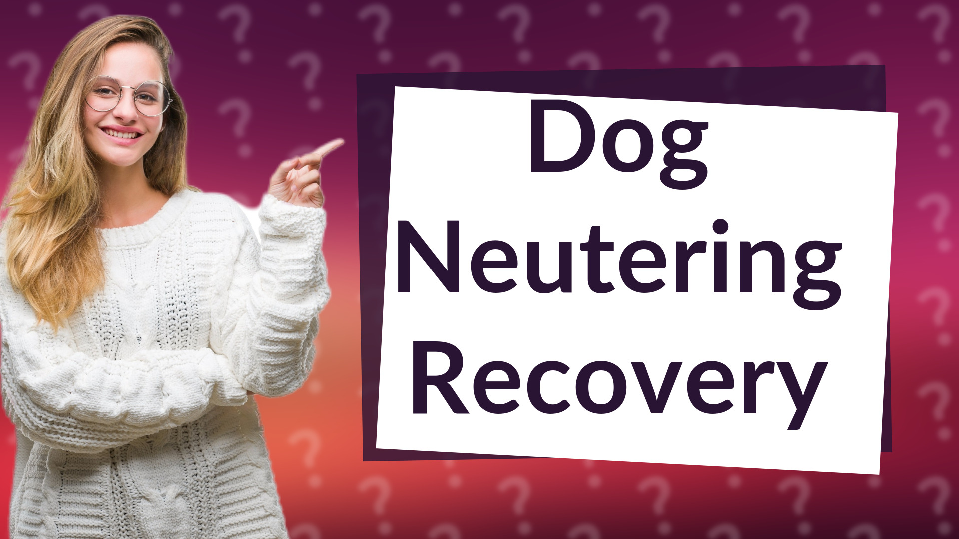 Dog Neutering Recovery
