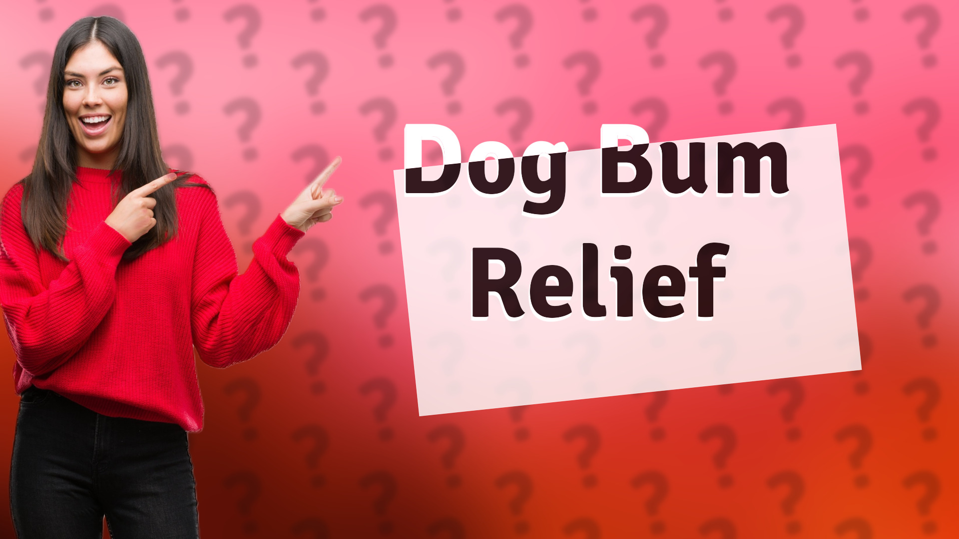 Dog Bum Relief