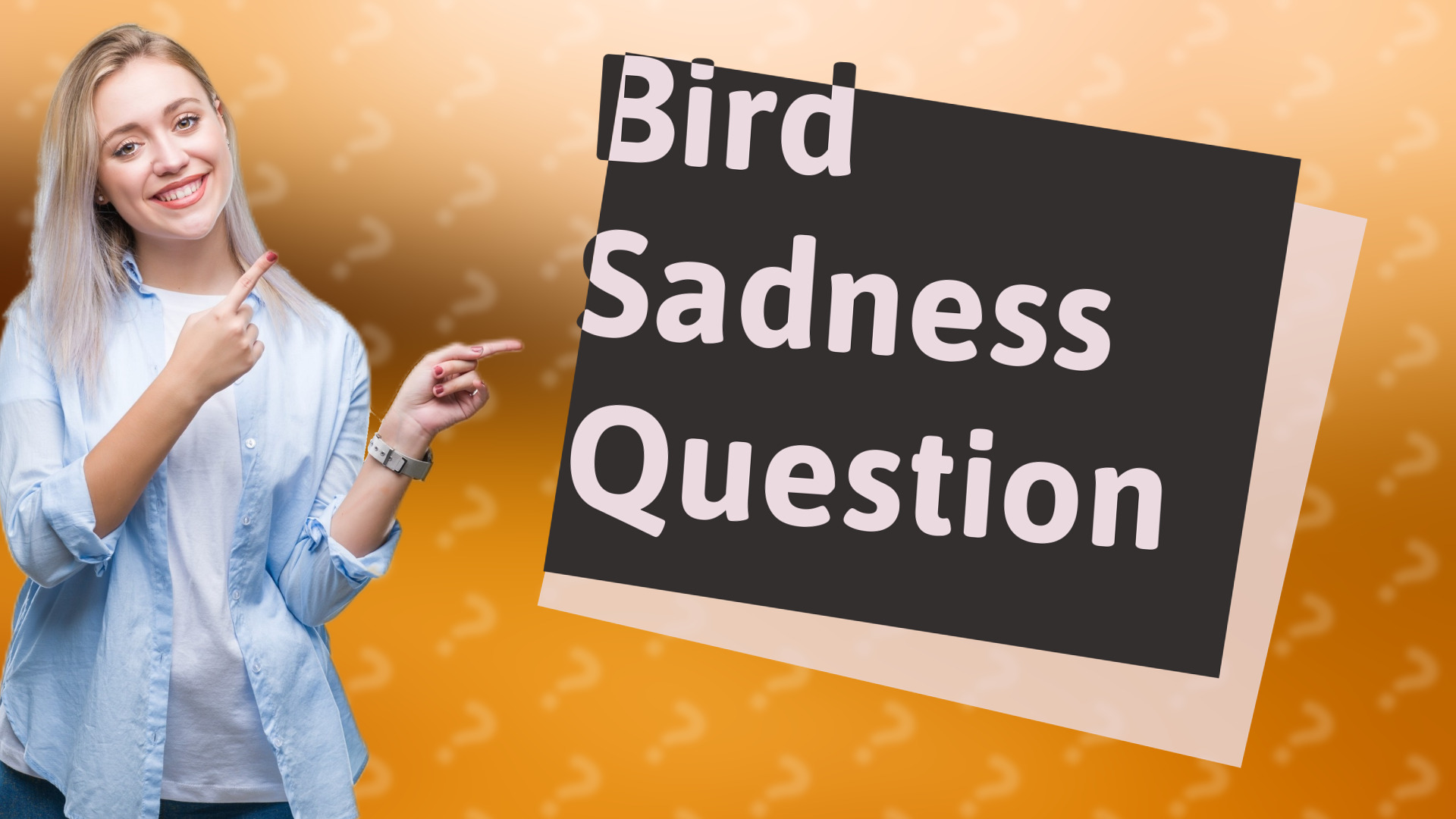 Bird Sadness Question