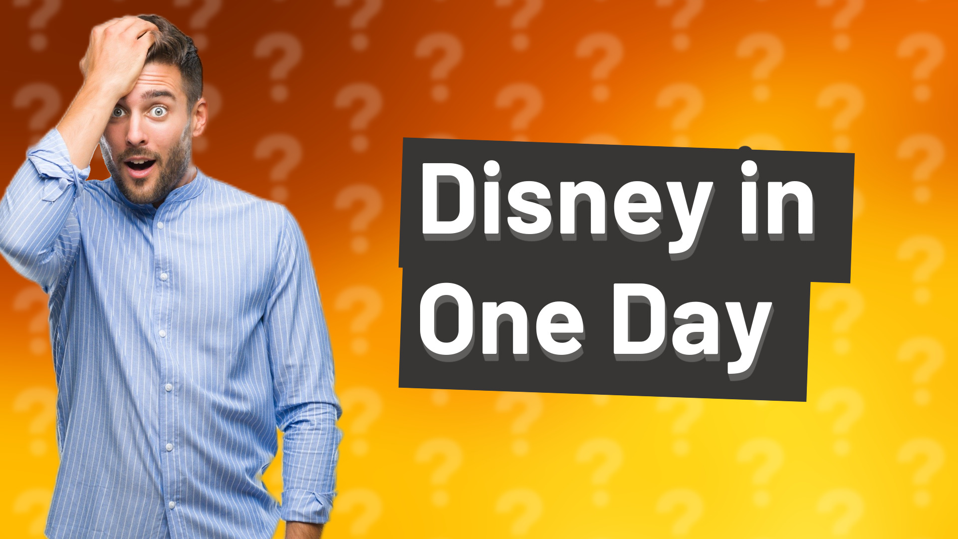 Disney in One Day
