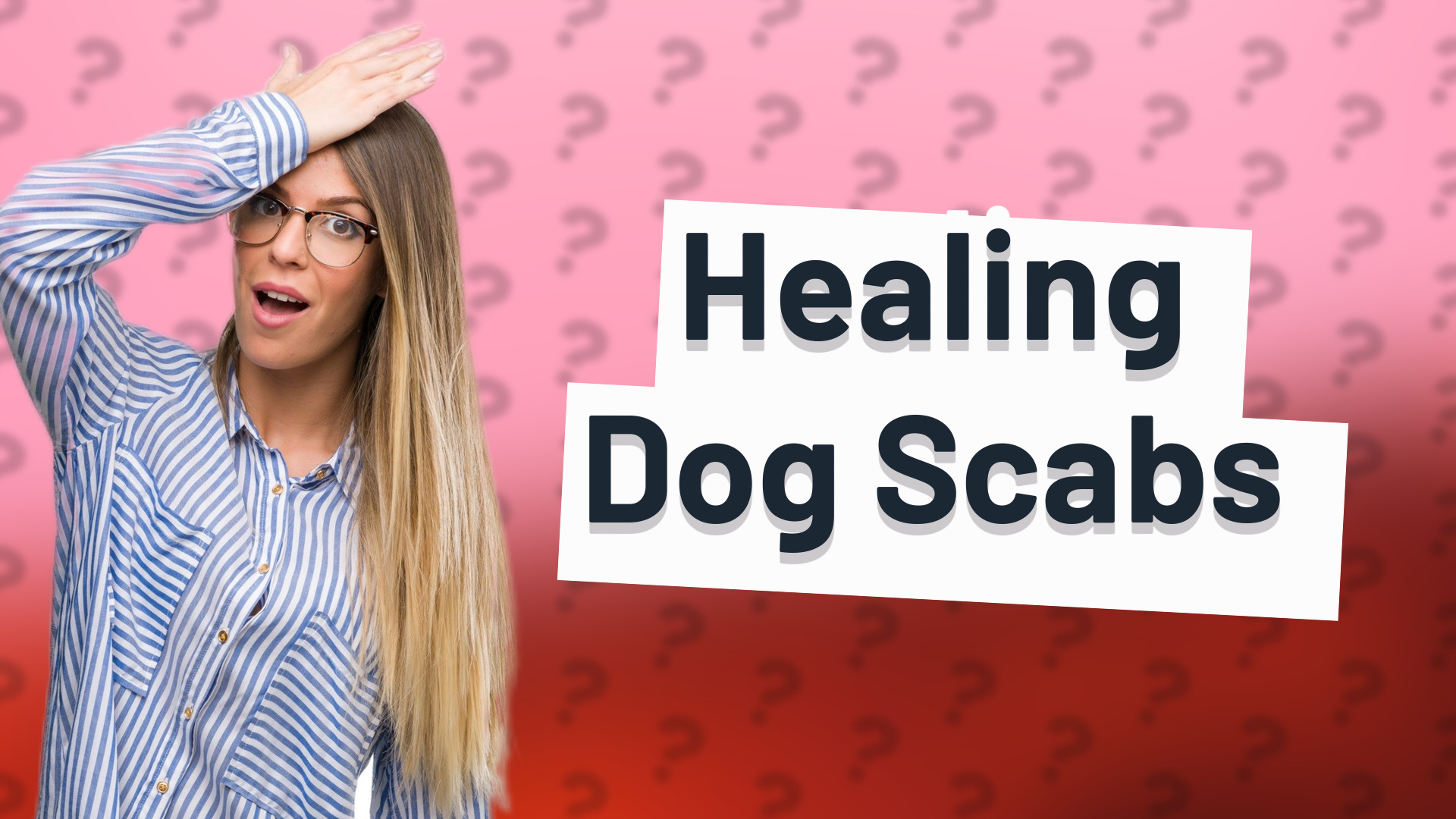 Healing Dog Scabs