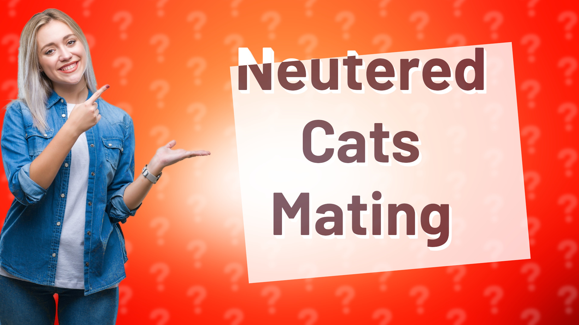 Neutered Cats Mating