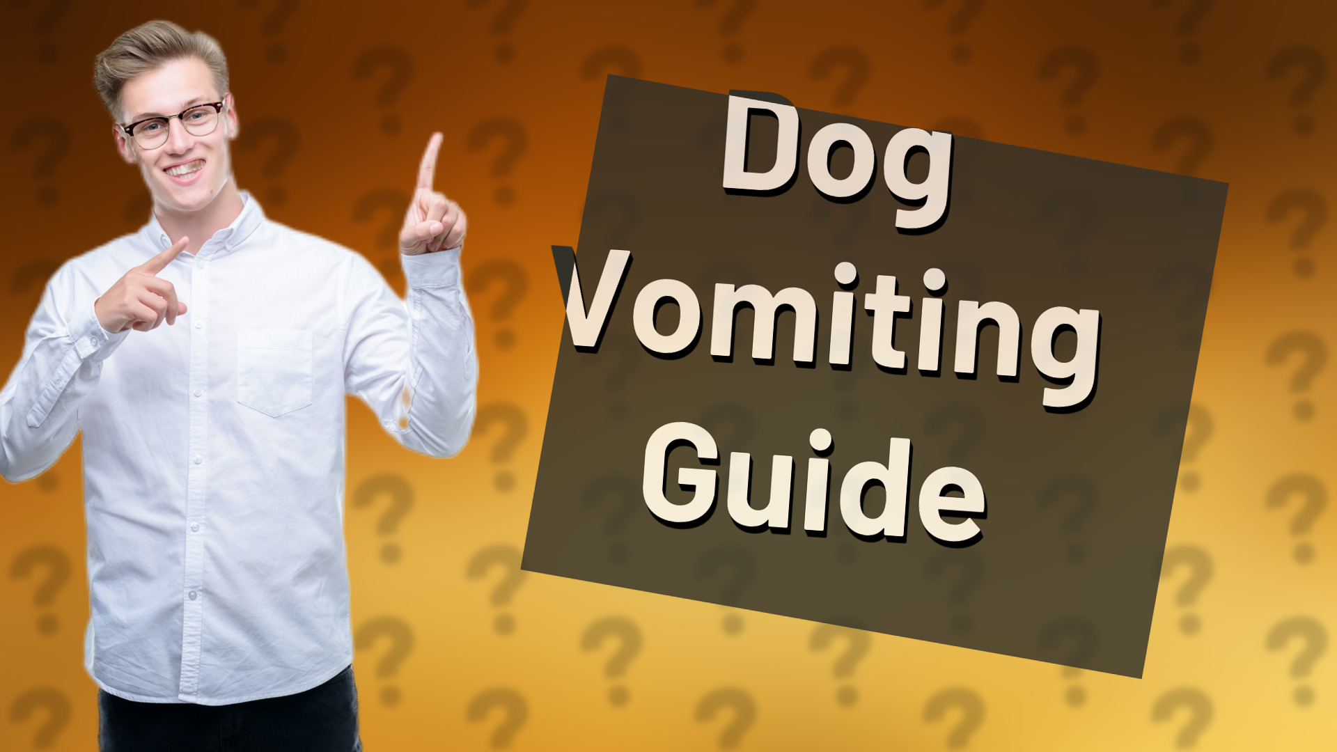 Dog Vomiting Guide