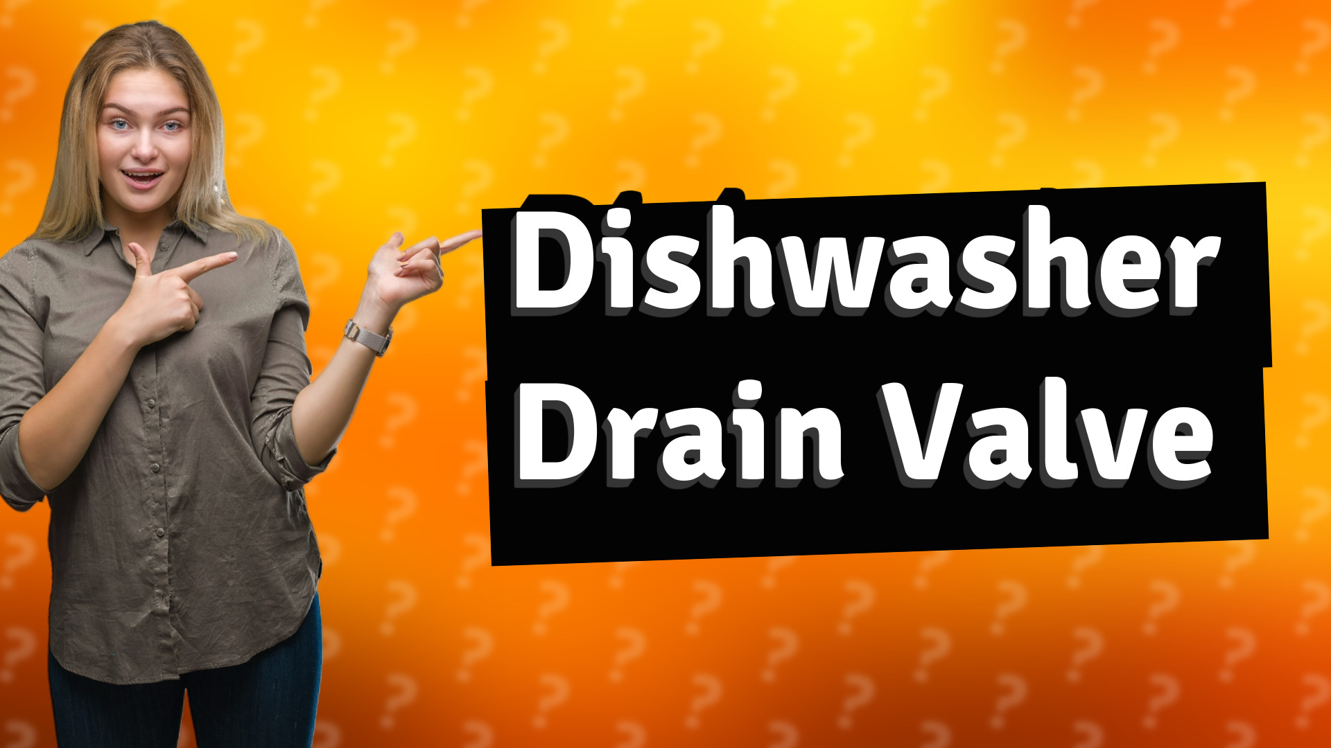Dishwasher Drain Valve