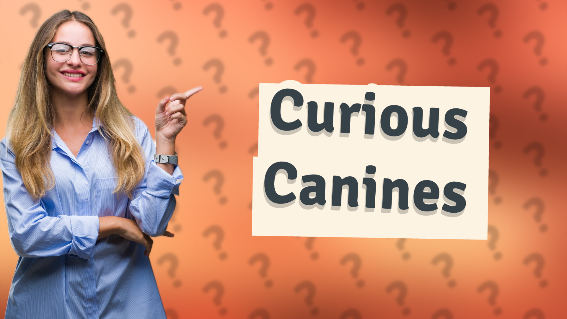 Curious Canines