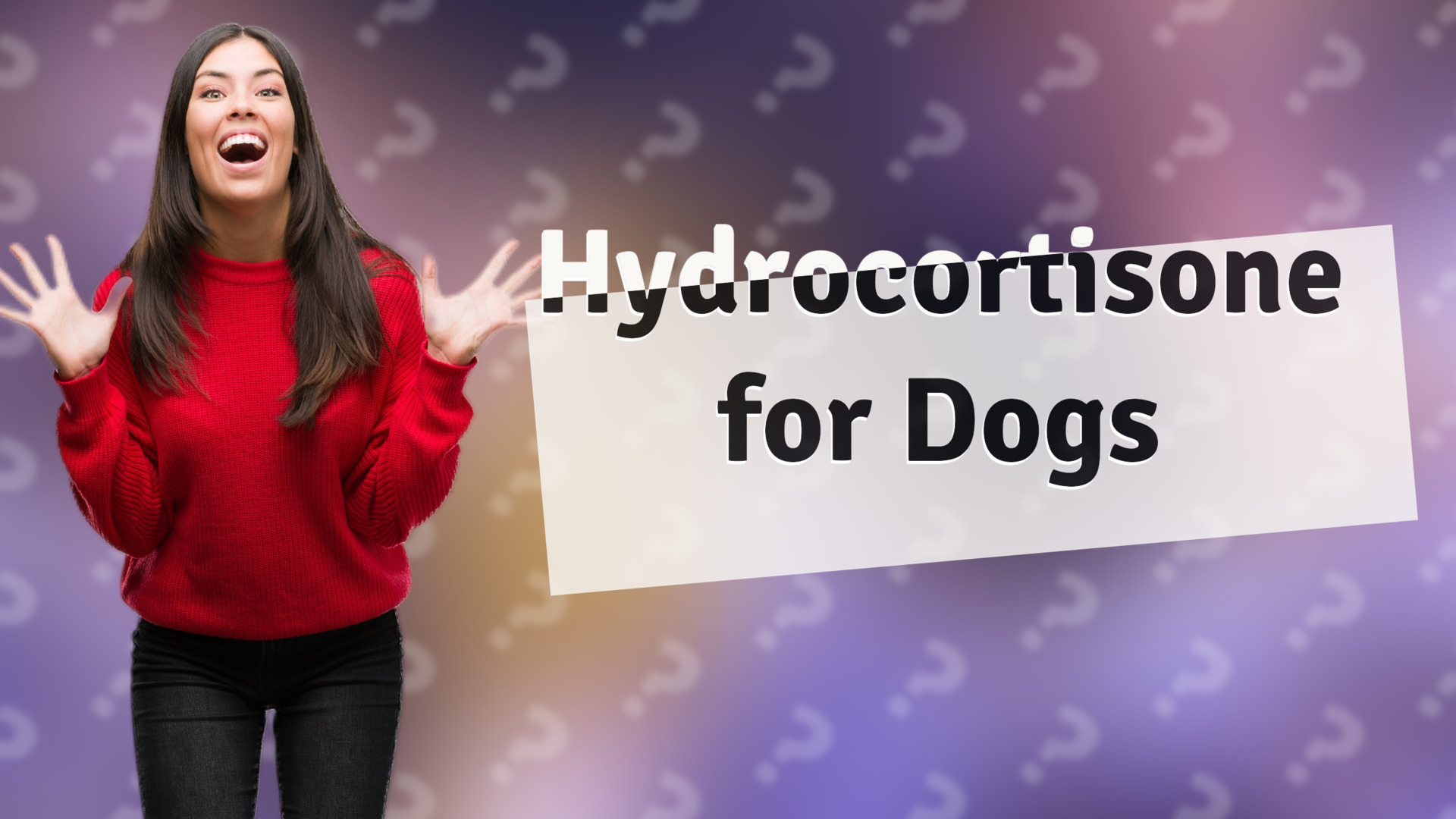 Hydrocortisone for Dogs