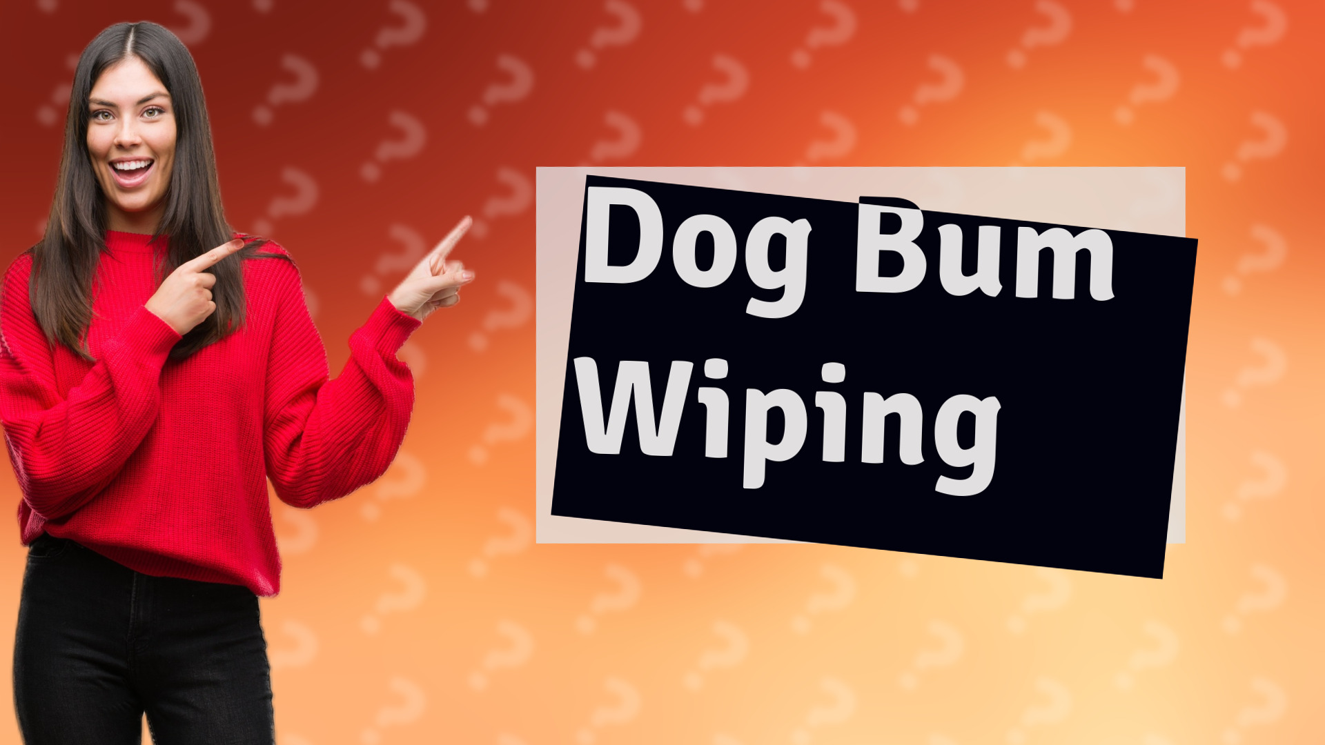 Dog Bum Wiping