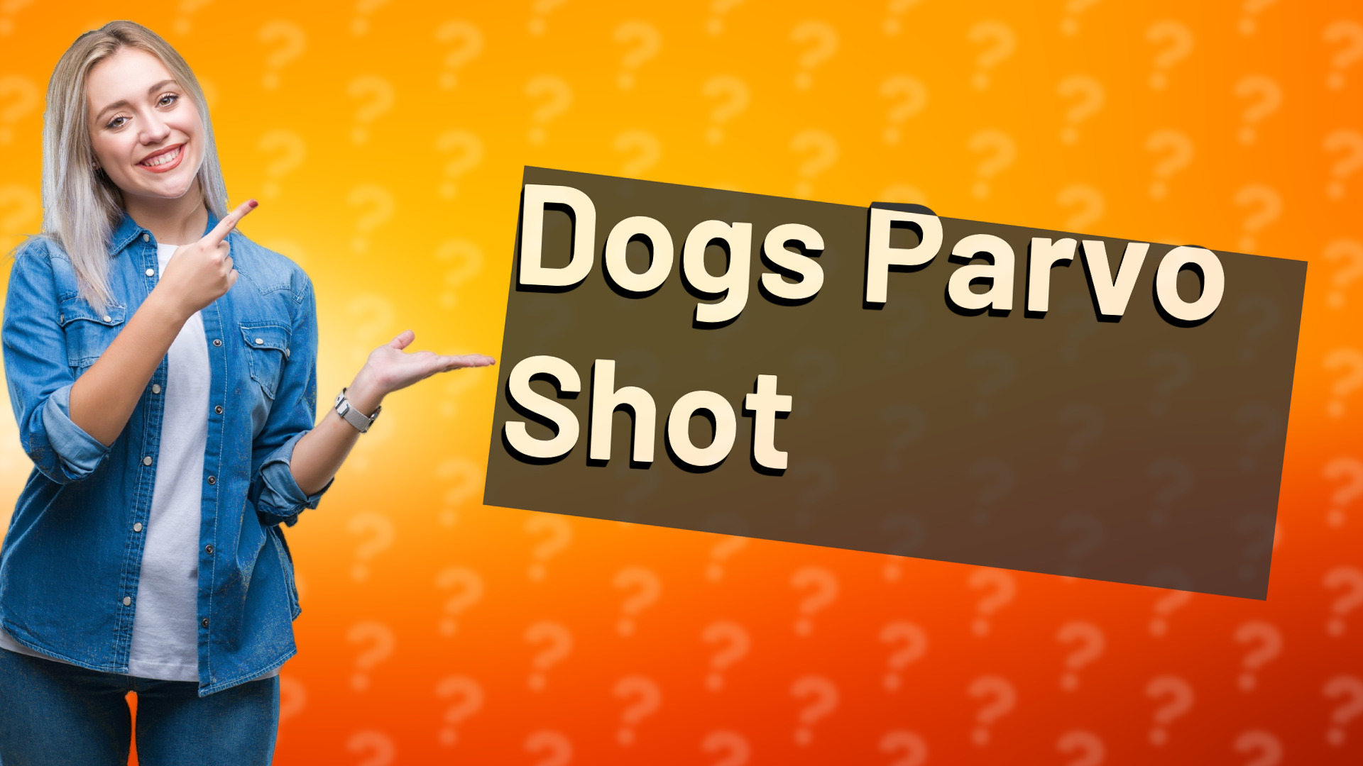 Dogs Parvo Shot