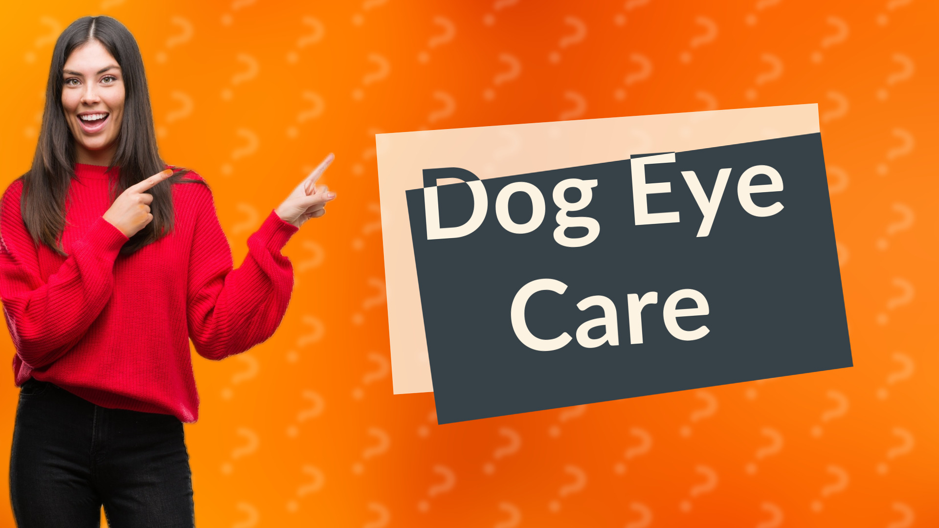 Dog Eye Care