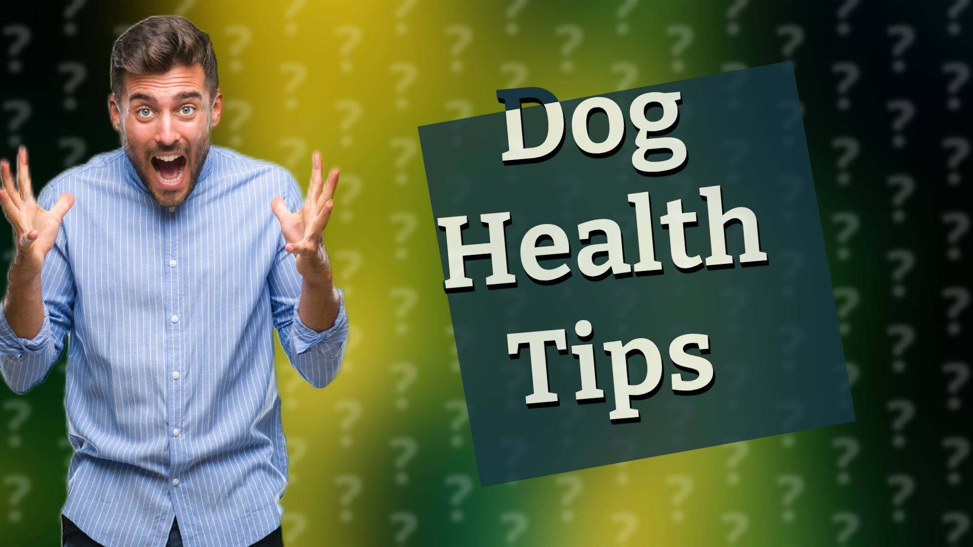 Dog Health Tips