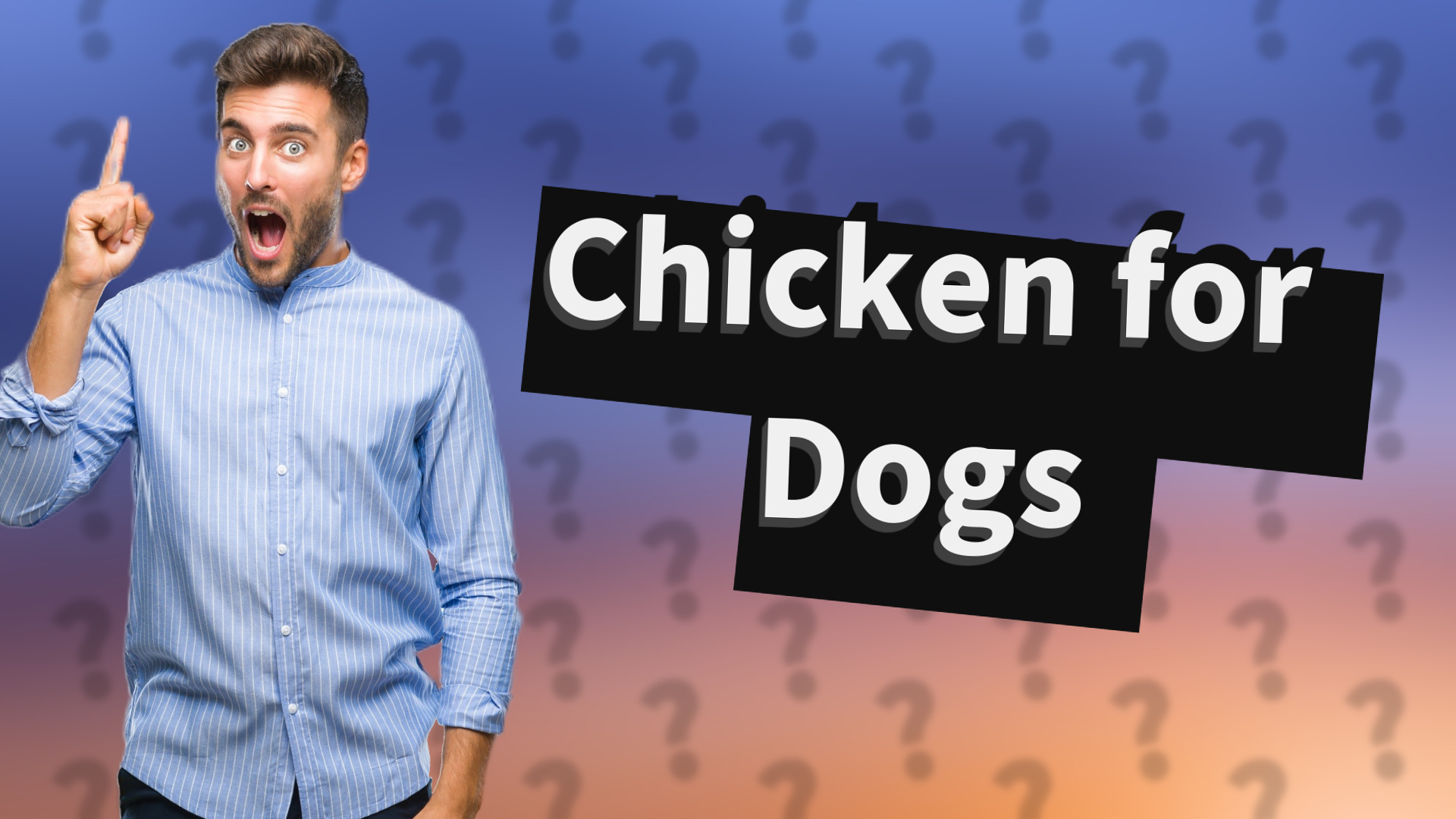 Chicken for Dogs