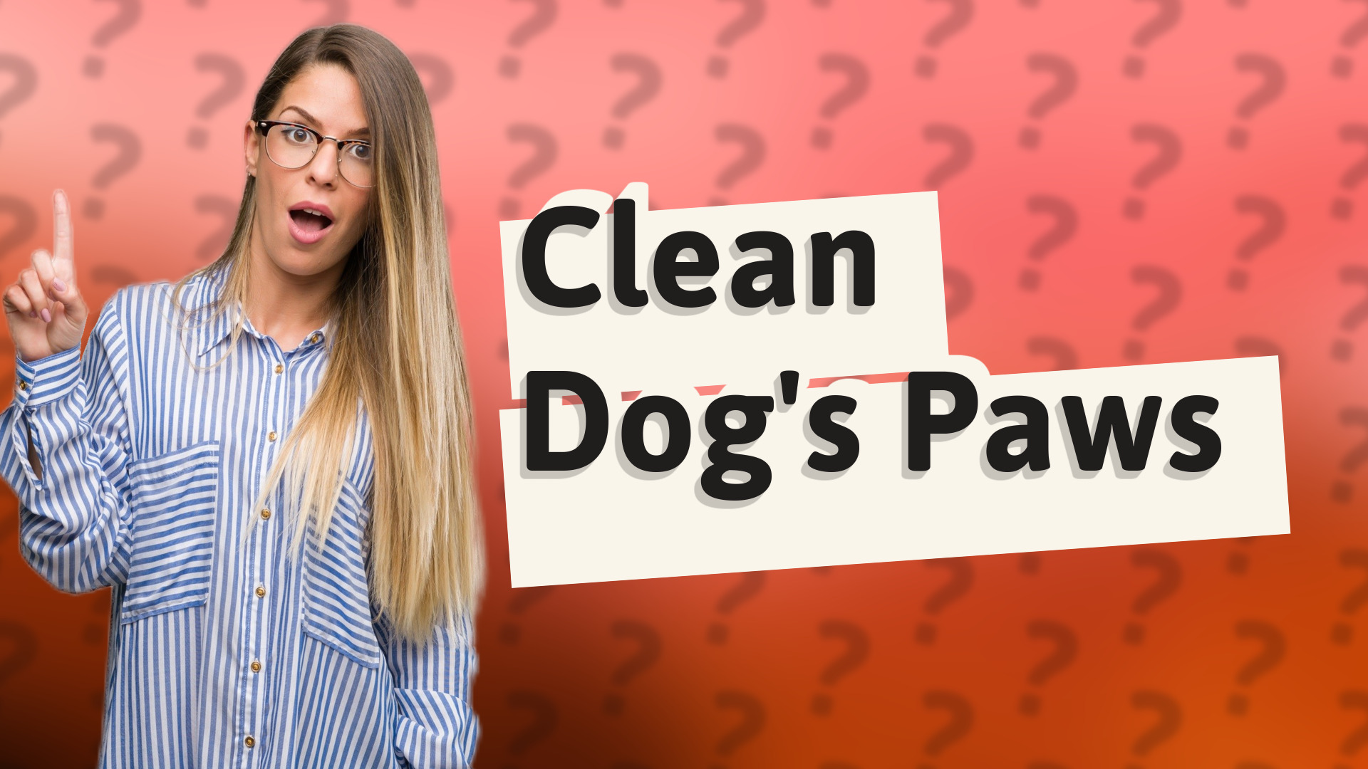 Clean Dog's Paws