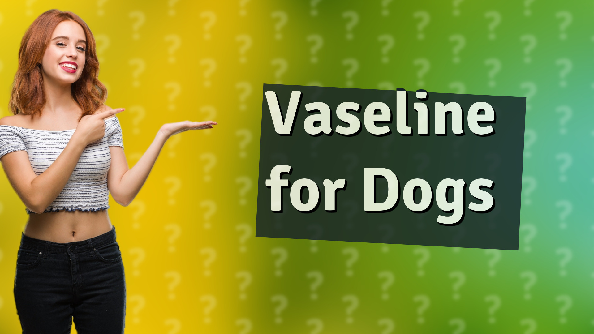 Vaseline for Dogs