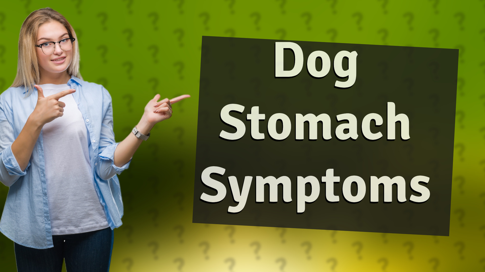 Dog Stomach Symptoms