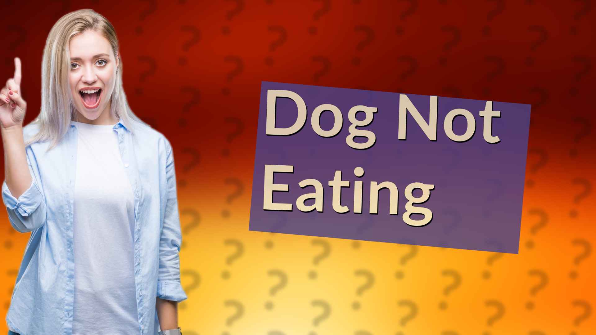 Dog Not Eating