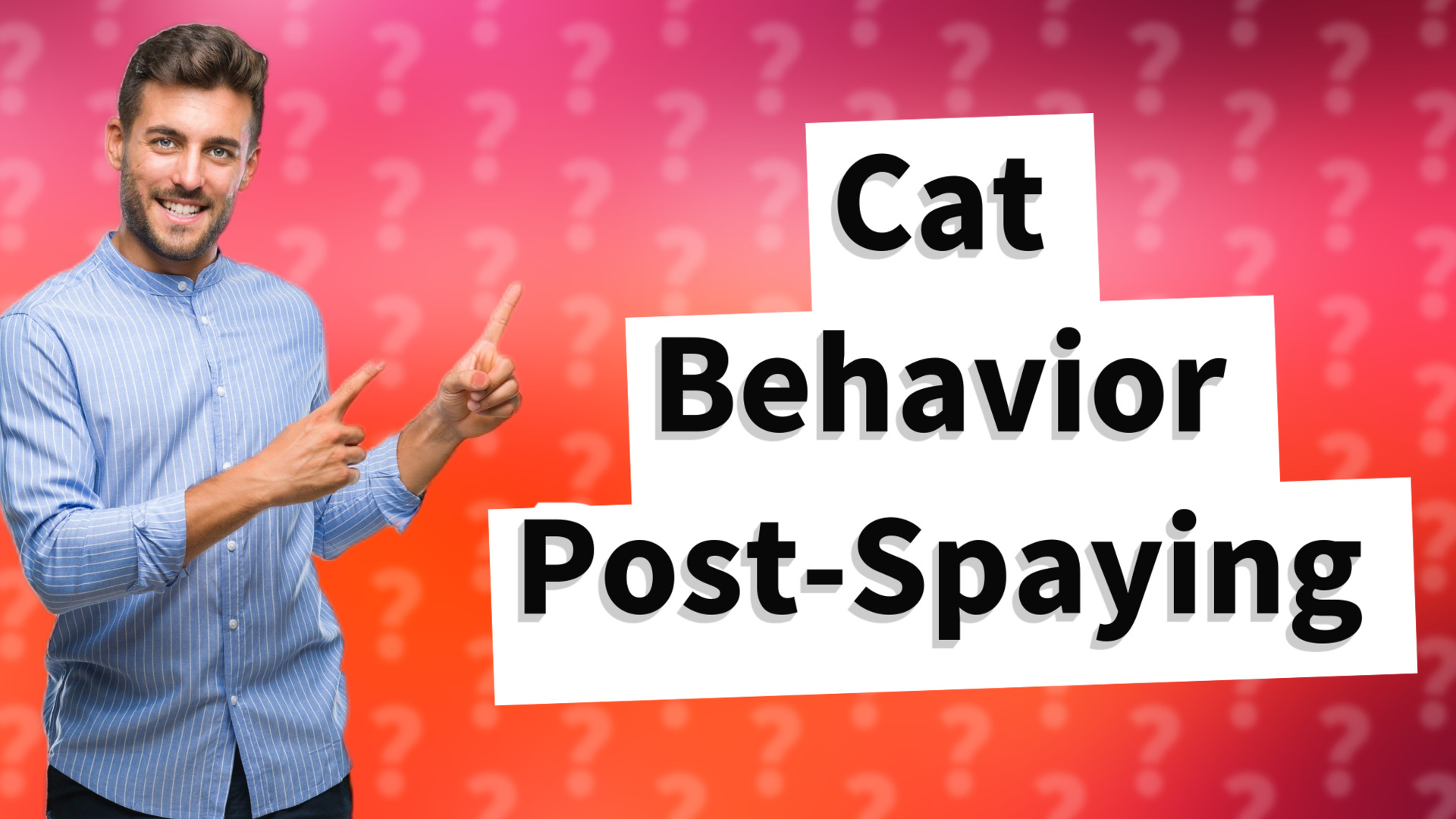 Cat Behavior Post-Spaying