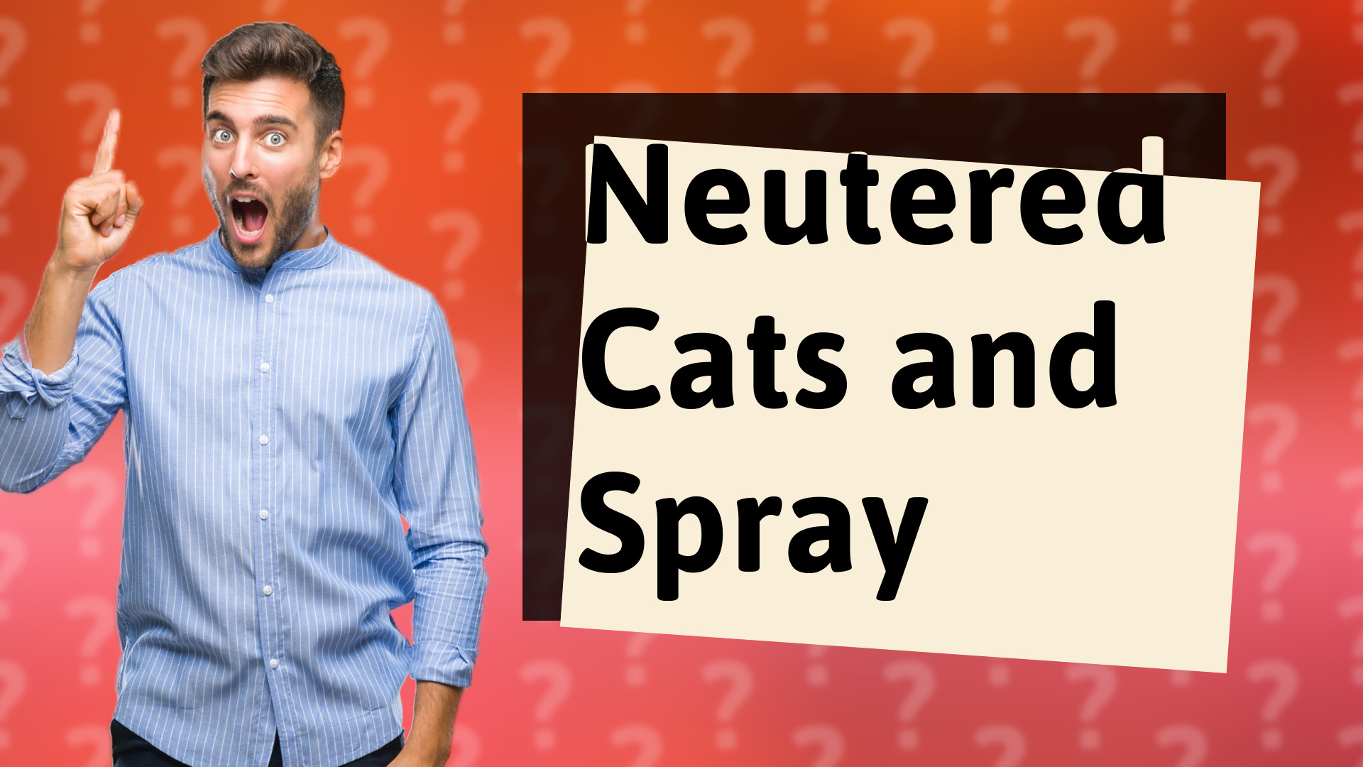 Neutered Cats and Spray
